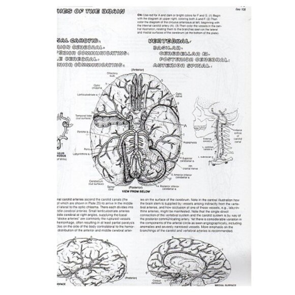 The Anatomy Coloring Book:  Wynn Kapit, Lawrence M. Elson - Picture 8 of 9